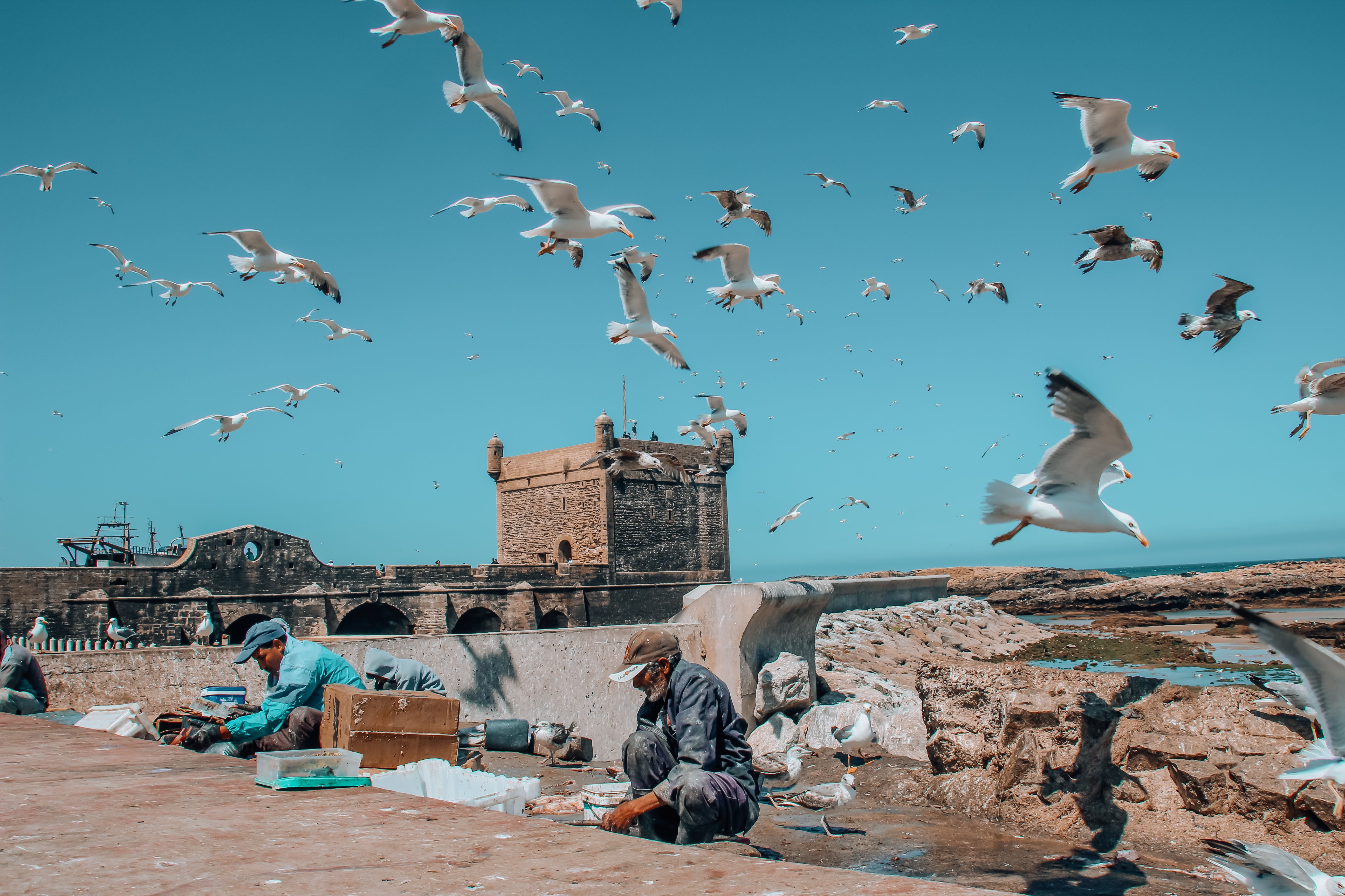 Excursion d'une journée à Essaouira depuis Marrakech